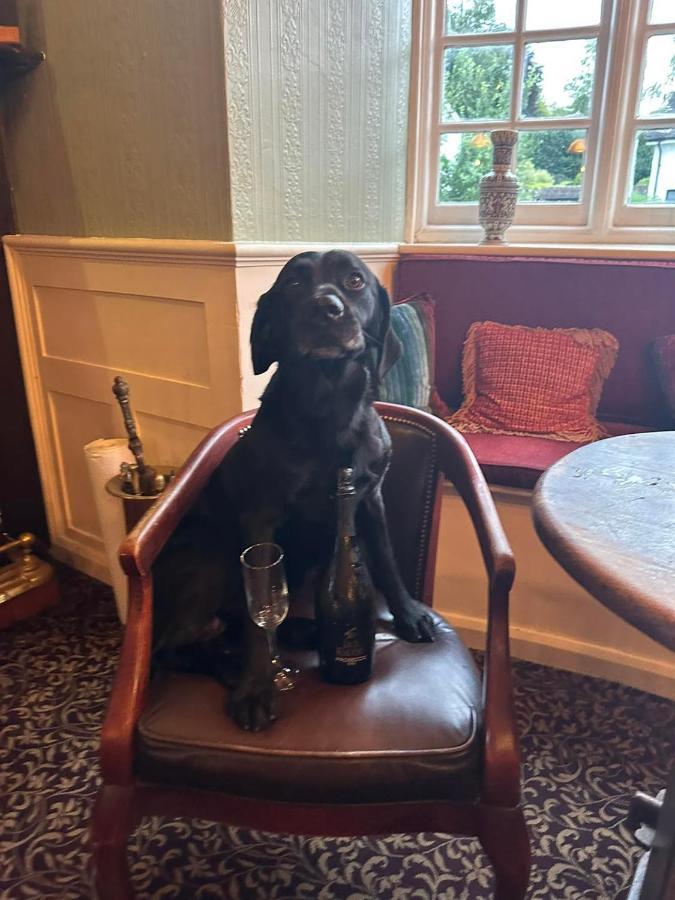 The Cricketers Inn Martyr Worthy Bagian luar foto
